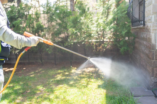 Pest Control for Warehouses in Tonawanda, NY